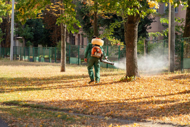Trusted Oakdale, CA Pest Control Experts