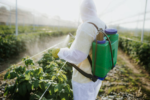 Best Wasp Removal Services  in Oakdale, CA